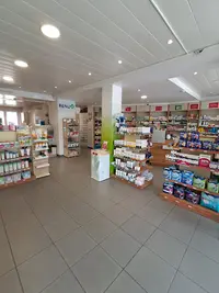 Benu Flénu