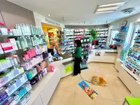 Pharmacie Pacco