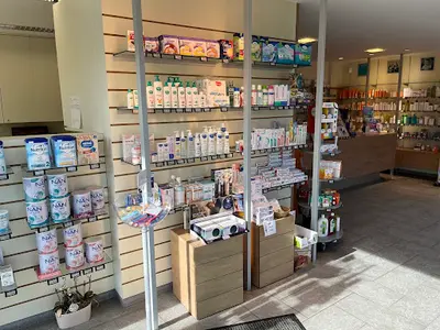 Apotheek de Knop